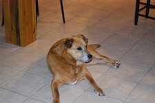DSC_0040 (Small).JPG