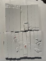 IMG_8126.jpeg