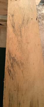 Mystery wood 1a.jpg