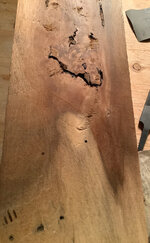 Mystery wood 1b.jpg