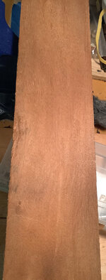 Mystery wood 1c.jpg