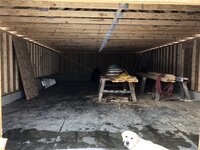 IMG_4732.JPG