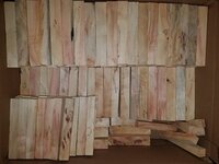 Box Elder.jpg