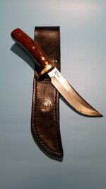Chad restore skinner A.jpg