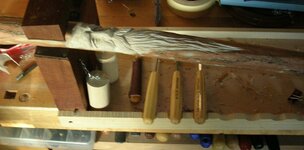 WALKING STICK !.jpg