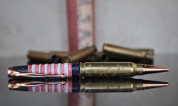 usa pen 1 - Copy.jpg