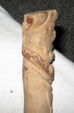 400_1643.JPG