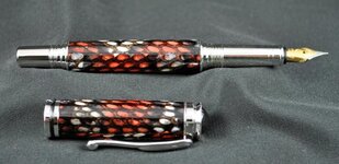 R573bw.jpg