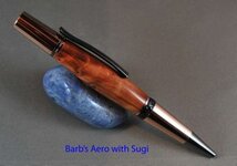 Aero with Sugi1.jpg