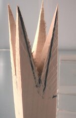 DSCN0850-crop.jpg