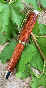 redwood jr (5).jpg