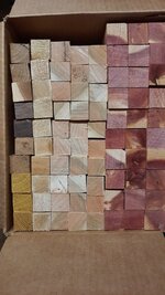 20210705_161709.jpg