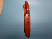 Sterni inv 213773-2021-2.jpg