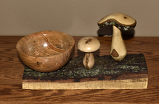 Ambrosia Maple 1b.png