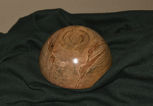 Ambrosia Maple 1f.png