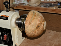 Ambrosia Maple 1a.png