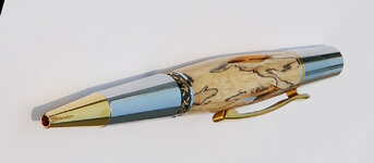 Pen #2 copy.jpg