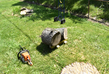 Spalted Maple 5i.png