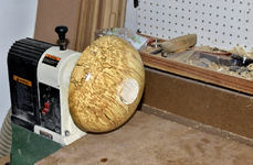 Spalted Maple 6c.png