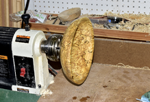 Spalted Maple 6e.png