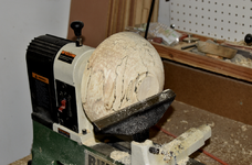 Spalted Maple 9c.png