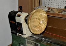 Spalted Maple 9d.png