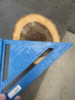 Oak 3.JPG