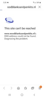 Screenshot_20210827-172818_Samsung Internet.jpg