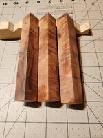 20210828_035355.jpg