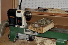Spalted Maple 99a.png
