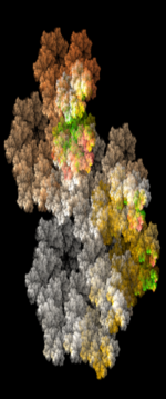 Coral Fractal Scaled 8 mm Tube - 20200415.png