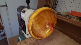 Canary Wood 1a.png