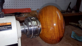 Canary Wood 1b.png