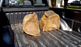 Black Walnut cut 1d.png