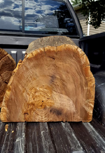 Black Walnut cut 1b.png
