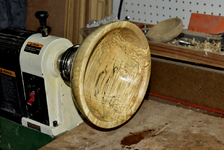 Spalted 3b.png