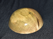 Red Ring Birch 1f.png