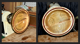 Red Ring Birch 1g.png