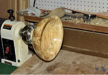 Spalted Maple 4b.png