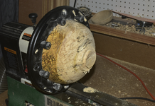 Spalted Maple 4e.png
