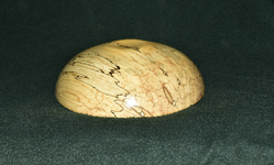 Spalted Maple 5d.png