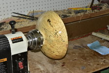 Spalted Maple 5a.png