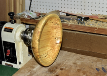 Spalted Maple 5b.png