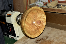 Spalted Maple 8b.png