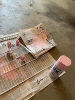 B49316C5-163F-4867-83DA-D0A7EE2E23DD.jpeg