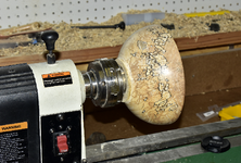 Spalted Maple 9a.png