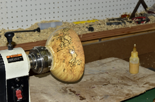 Spalted Maple 9b.png