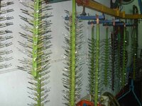 Rack plating.jpg