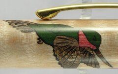 Hummingbird close 1.jpg