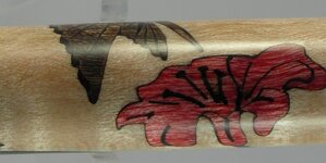 Hummingbird close 2.jpg